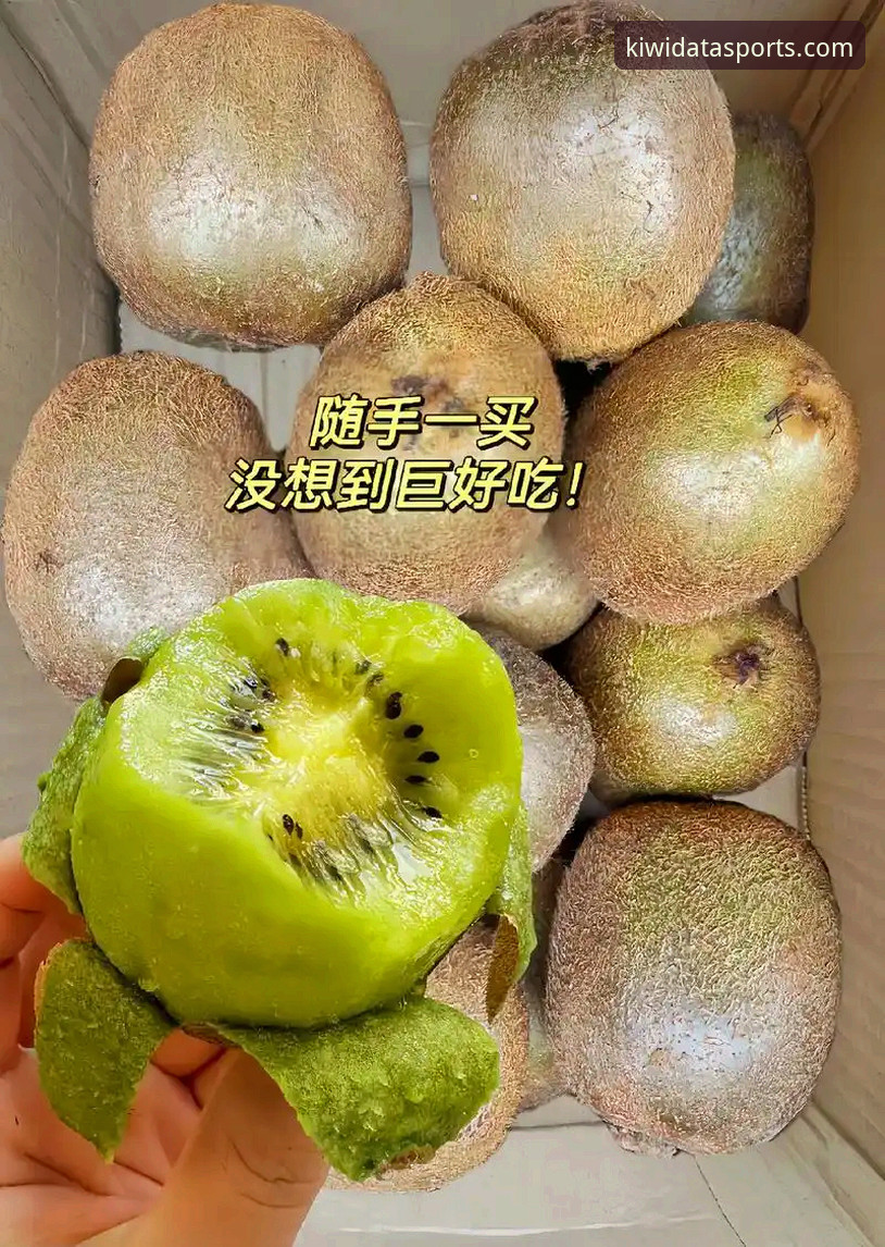 奇异果体育合法吗2026最新版本 vs 旧版本：老用户实测对比与经验分享