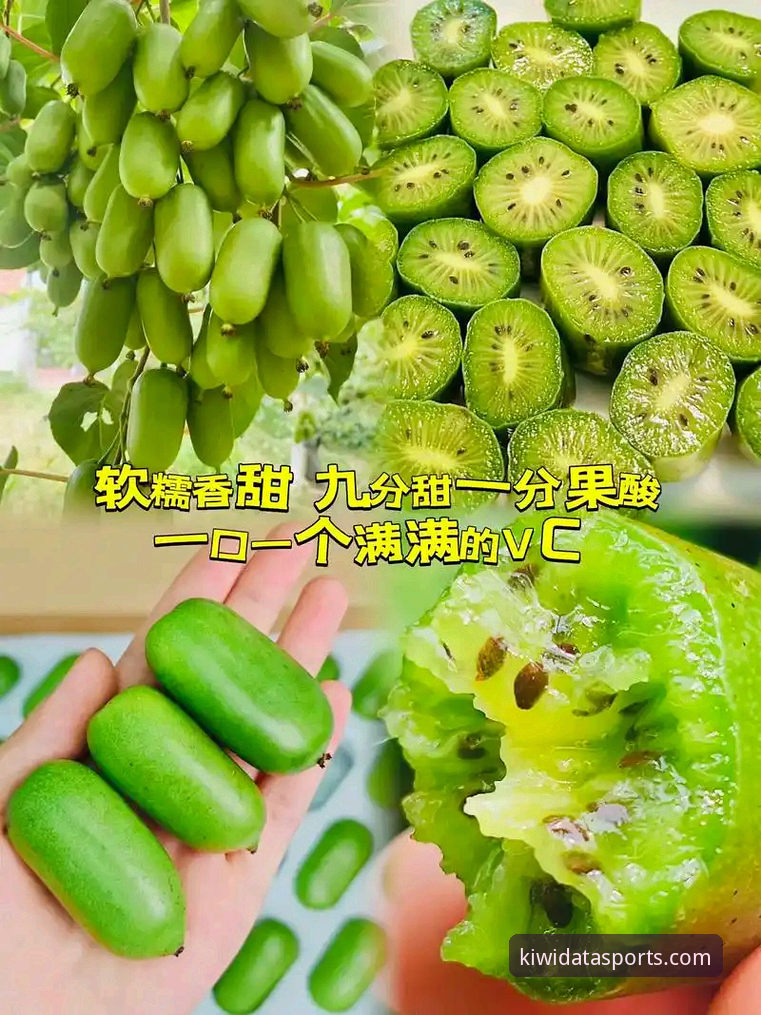 揭秘奇异果体育专业数据手机版：你不知道的实时赛事分析秘籍