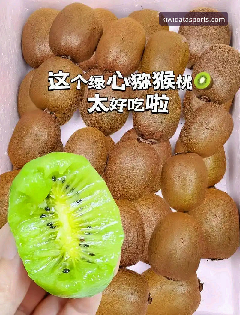 奇异果体育平台v2.3.0与旧版对比：新手该选哪个版本？手把手数据App使用教程